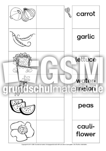 AB-vegetables-Zuordnung 2.pdf